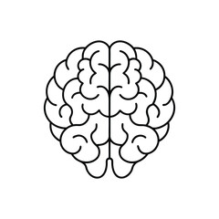 Brain line art, brain line art vector