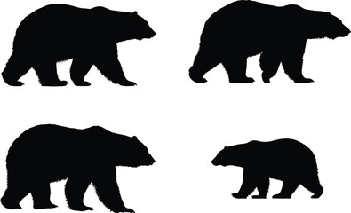 Fototapeta premium Bear Silhouettes, Wildlife, Mammals
