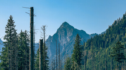 Widok na góry ze szlaku na morskie oko © Dominik Zarębski