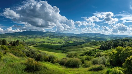 Panoramic view of rolling green hills under a vibrant blue sky scattered with fluffy white clouds; sunlit landscape