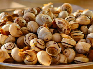 Fresh cooked snails with shells on a silver platter ready to eat as a delicacy