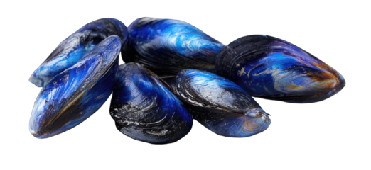 Close-up of vibrant blue and dark mussels