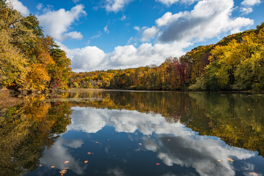 A pond surrounded by autumn foliage on a breezy, sunny fall day