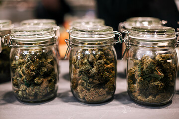 Glass jars filled with cannabis buds on counter