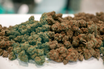 Red-green cannabis buds on white background