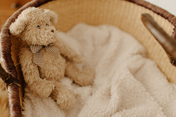Teddy bear in a newborn crib