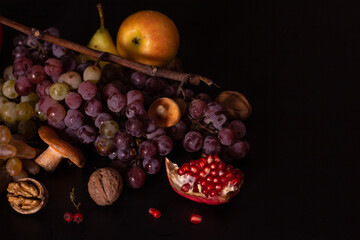 Still life of fruits and berries on black background, autumn har