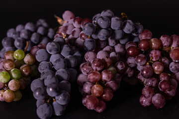 Composition of grapes on a black background, autumn harvest