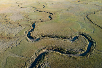 aerial view of winding backcountry waterways in wetlands