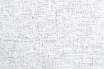 Fototapeta premium White art canvas texture background
