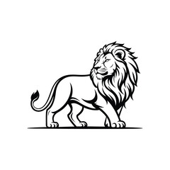 Fototapeta premium Majestic lion walking with flowing mane and tail animal mammal