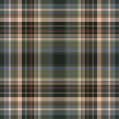 Seamless striped plaid pattern design. for plaid, fabric, carpet, rug, textile, clothes, table, weaving, dress, clothing. Vector drawing