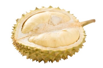 Obraz premium durian isolated on white background