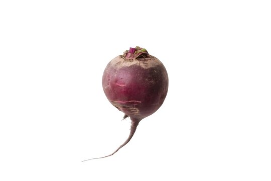 rootbeet isolated on white background