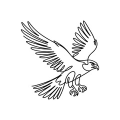 Obraz premium Majestic eagle in flight with outstretched wings bird raptor