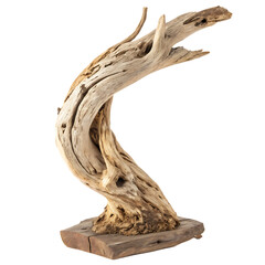 Fototapeta premium A single piece of driftwood sculpture from the beach isolated on a transparent background png