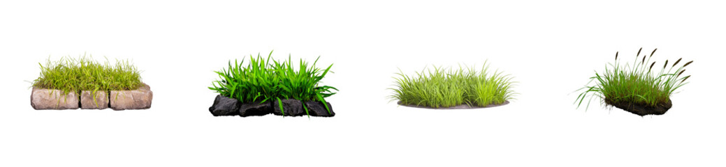 Four distinct tufts of lush green grass with varied textures on dark or light stone bases, cut out transparent