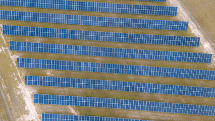 Fototapeta premium Environmental solar farm with green grass