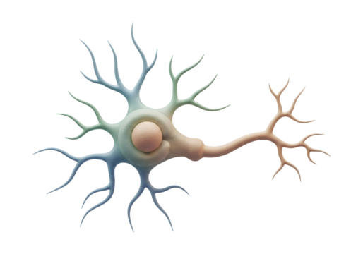 Detailed Neuron Cell Structure with Blue and Peach Gradient Coloring on a Black Background for Scientific Visualization