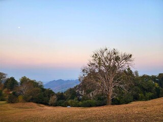 A serene landscape featuring a solitary tree against a colorful sunset backdrop