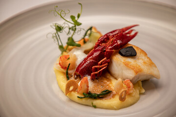 Fine Dining Seafood Plate