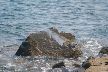 Cangrejos camuflados