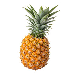 One whole ripe tropical pineapple with green top isolated on a transparent background png