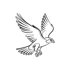 Obraz premium Majestic falcon in flight with outstretched wings and sharp talons bird of prey raptor