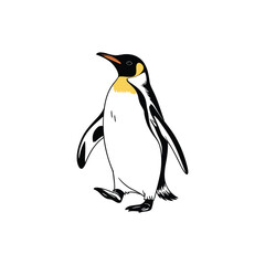 Fototapeta premium Black and white penguin with yellow neck and orange beak walking animal bird