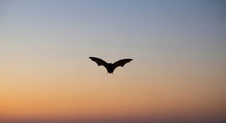 Fototapeta premium Bat Silhouette Against Twilight Sky