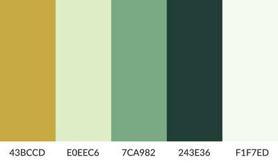 Abstract color palette banner versatile collection of shade and swatch