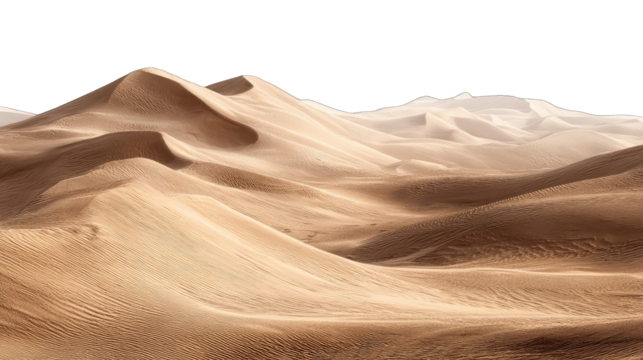 Desert dunes, panoramic view