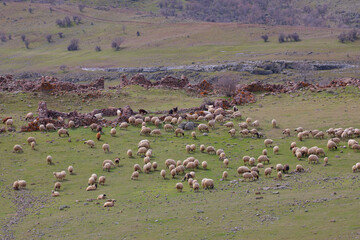 The mountains within the borders of Tunceli province extend in the west-east direction as an extension of the Eastern Taurus Mountains.