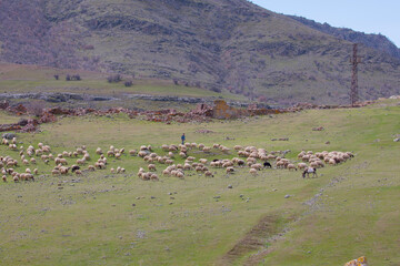 The mountains within the borders of Tunceli province extend in the west-east direction as an extension of the Eastern Taurus Mountains.