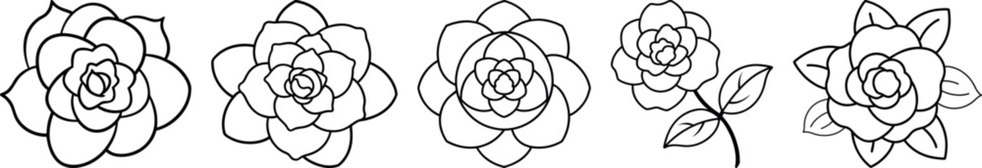 Peony Flower Outline Icons Collection