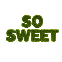 Green moss letters spell so sweet isolated on transparent background