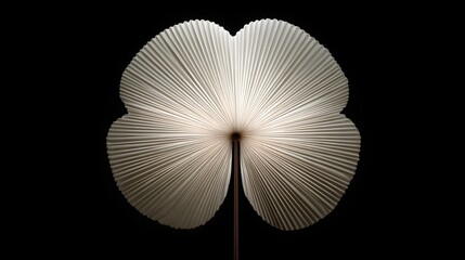 Close-up of a pleated paper fan.