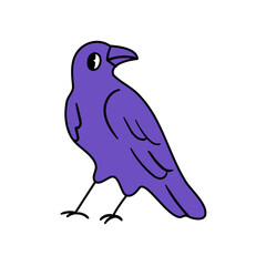 Purple cute raven on isolated white background. Hand drawn vector illustration.