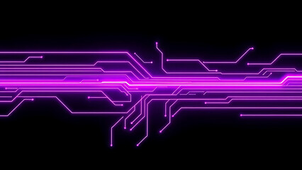 Obraz premium Futuristic Purple Neon Circuit Lines on Black Digital Wallpaper