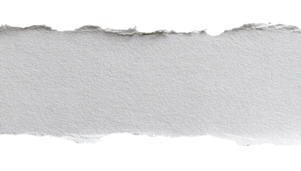 Ripped paper strip (1)