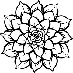 Stylized black and white outline of a succulent plant with layered petals forming a mandala pattern