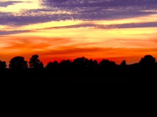Fantastic colorful sunset sky, trees silhouettes, natural sunset landscape background