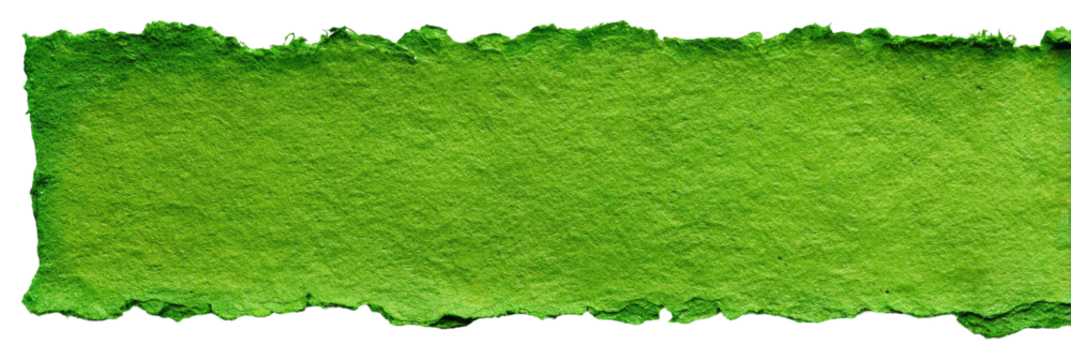 Green textured rectangular shape