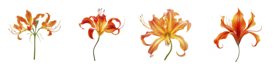 Stunning artistic renditions of orange azalea flowers in full bloom