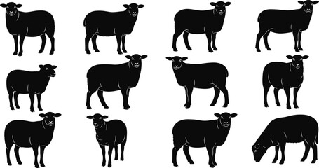 Silhouette sheep collection, farm animals, livestock poses, black vector, agriculture theme, graphic design, Adobe Stock, illustration, rural, nature