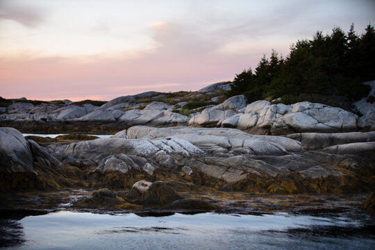 Rocky shore and trees at dusk