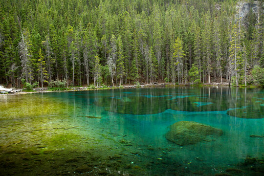 Green Blue water of Grassi Lakes with evergreen trees