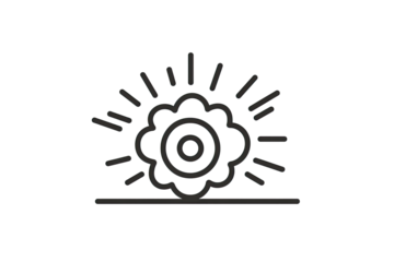 Simple sunburst graphic