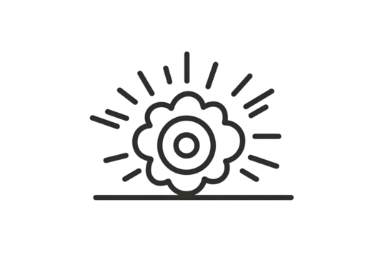 Simple sunburst graphic