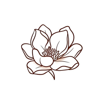 Elegant magnolia flower design